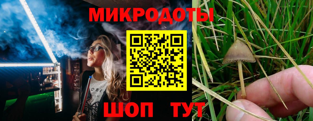 Псилоцибиновые грибы GOLDEN TEACHER Лосино-Петровский