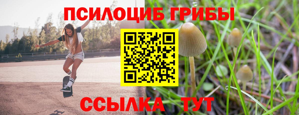 Лосино-Петровский  Псилоцибиновые грибы Magic Shrooms  Вход с VPN 